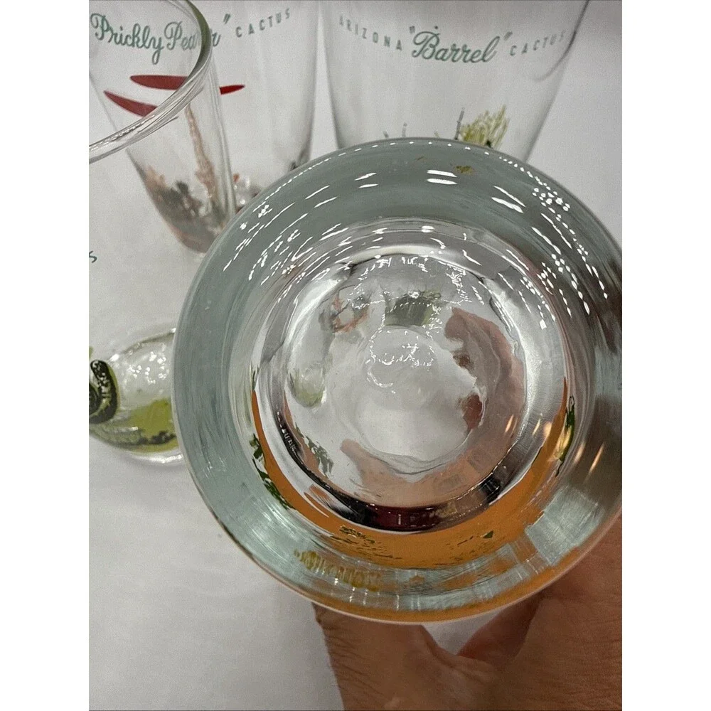 Blakely Oil Arizona Cactus Tumblers Set 4 Cholla Saguaro Barrel Prickly